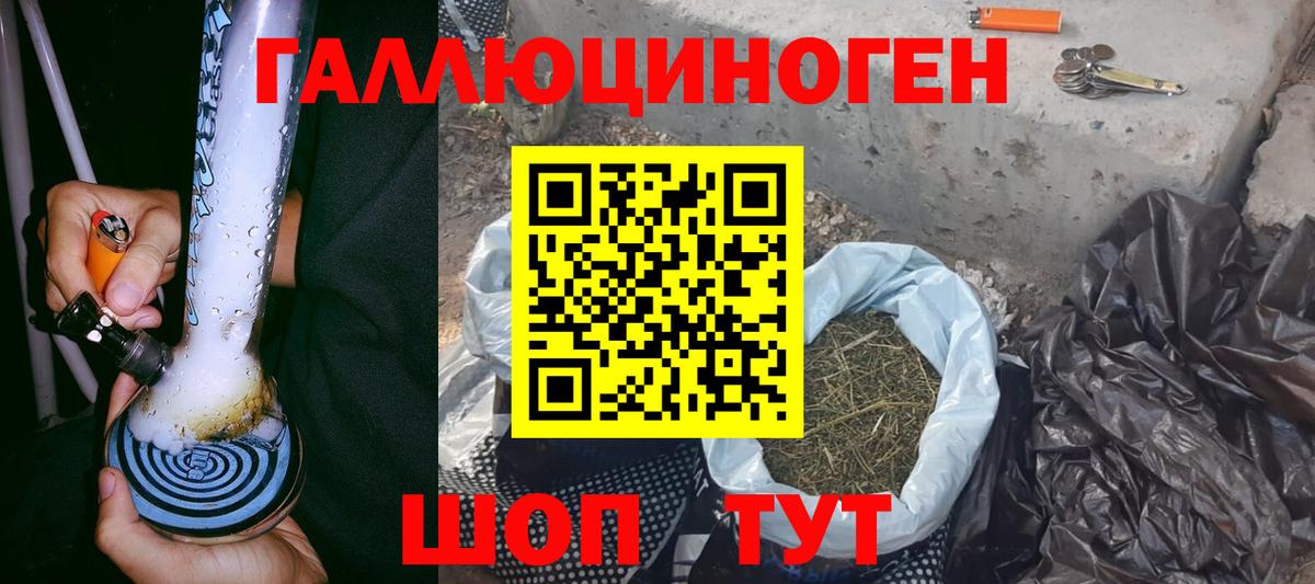 Псилоцибиновые грибы Psilocybine cubensis Энгельс
