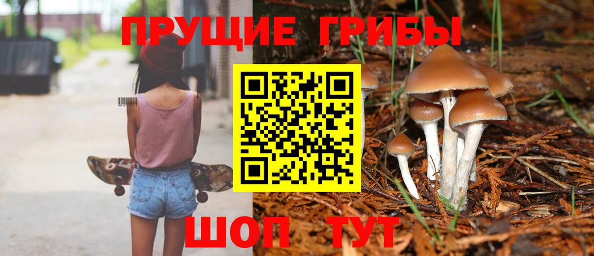 Энгельс  Псилоцибиновые грибы прущие грибы  Вход с VPN  где купить   Галлюциногенные грибы Magic Shrooms 